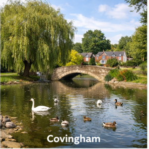 Professional dog grooming in Covingham Swindon with experienced groomers caring for dogs